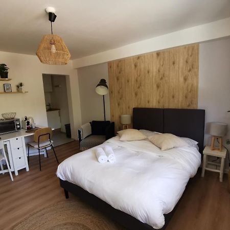 Marnesia - Studio Avec Vue Sur Les Quais Strasbourg Exteriör bild