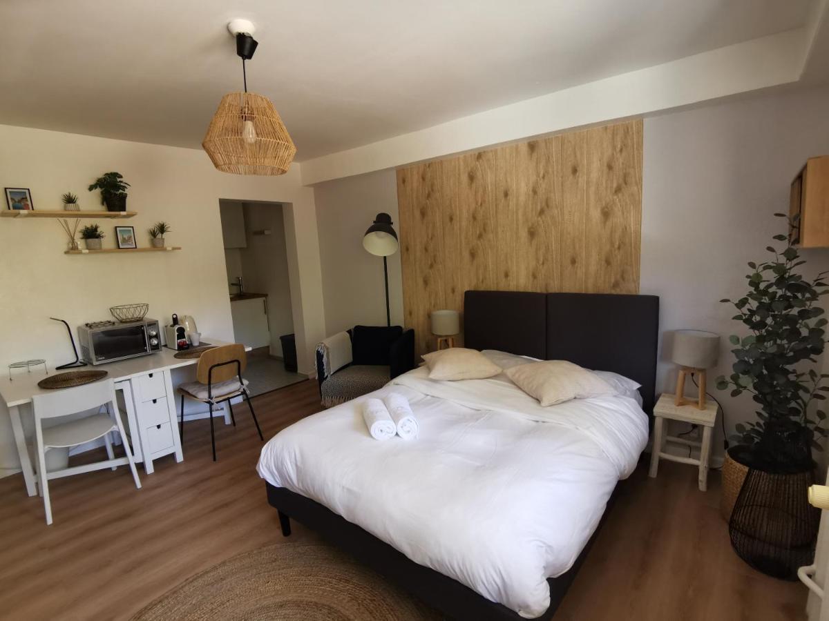 Marnesia - Studio Avec Vue Sur Les Quais Strasbourg Exteriör bild
